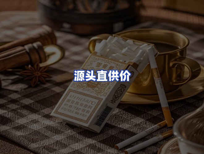 专业团队